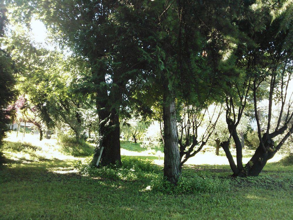 Villa Bredina Sale Marasino Extérieur photo